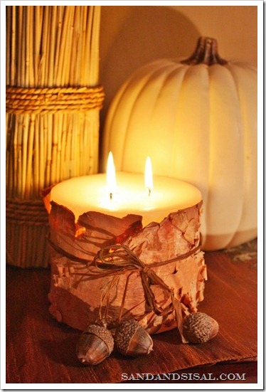 DIY Projects: Birch Bark Candles