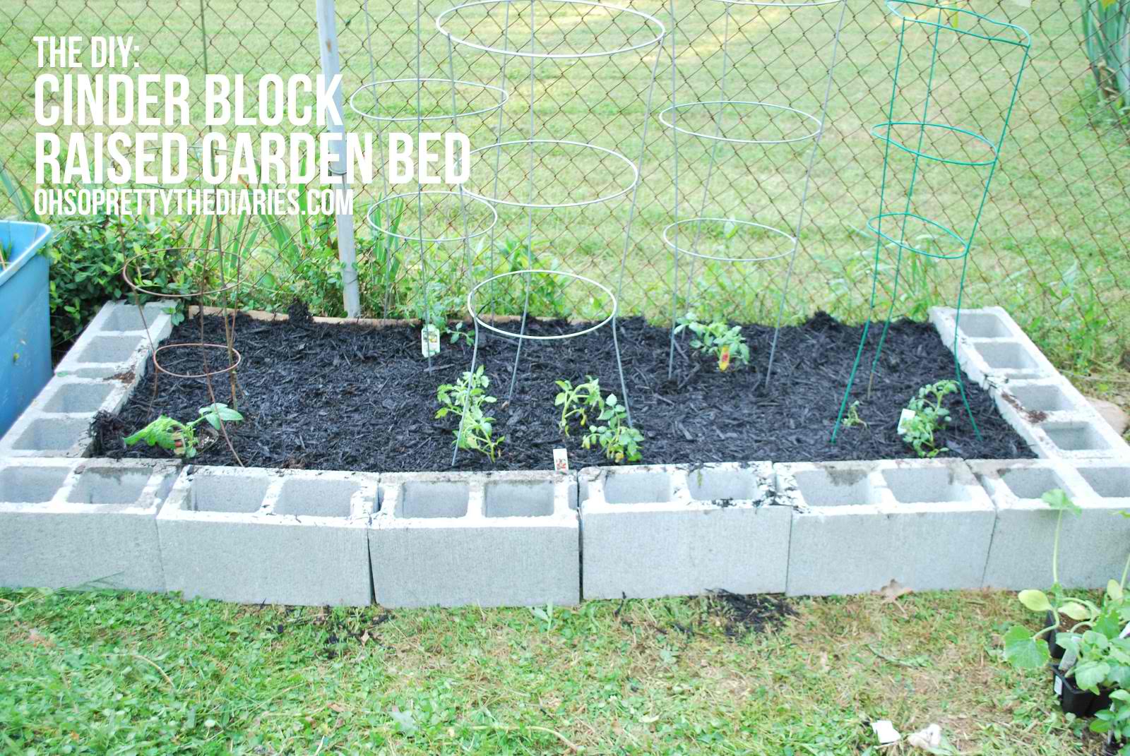 DIY Raised Garden Beds With Cinder Blocks