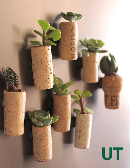 Cork Planter Magnets For The Fridge