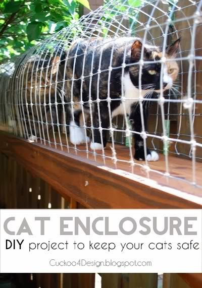 DIY Cat Enclosure
