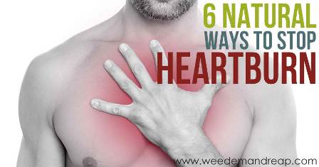 How To Heal Heartburn Naturally