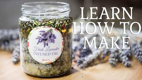 Making Lavender Infused Oil At Home